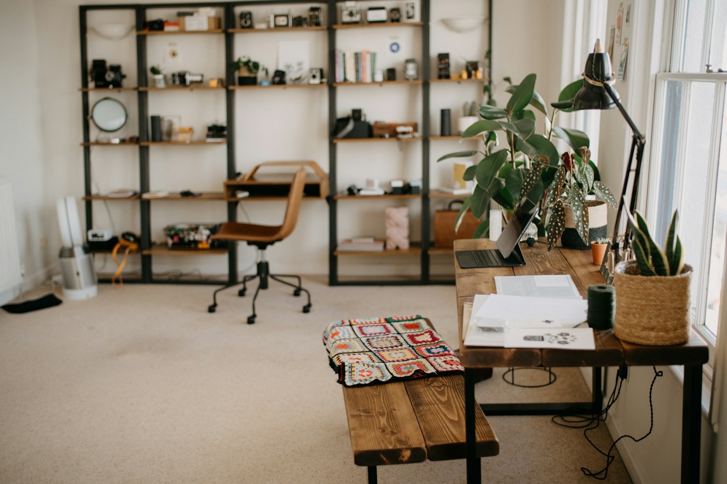 Creative Insights to Fuel Your Curiosity Each Week